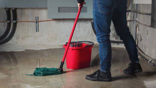 Best Water damage restoration mold remediation  in Kingfisher, OK