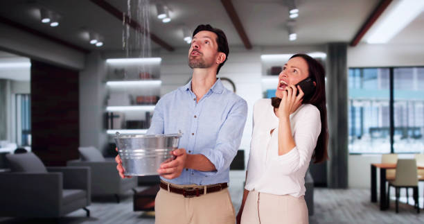 Best Professional water damage repair  in Kingfisher, OK