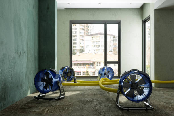 Best Local water damage restoration  in Kingfisher, OK