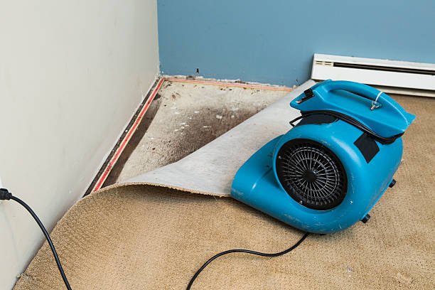 Best 24-hour water damage restoration  in Kingfisher, OK